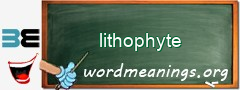 WordMeaning blackboard for lithophyte